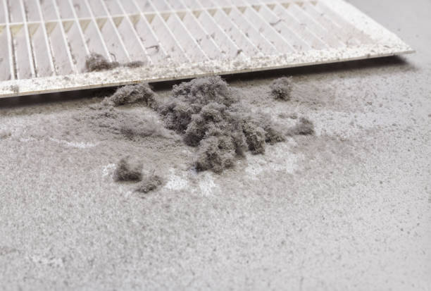 Best Air Duct Cleaning Near Me  in Frankford, DE