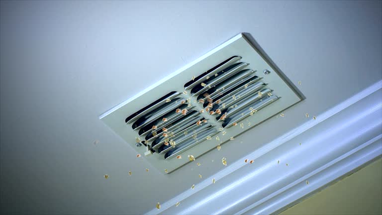 Best Professional Duct Cleaning Services  in Frankford, DE