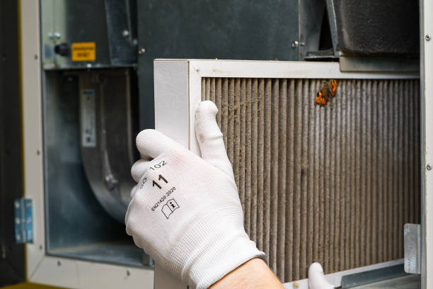 Best Air Quality Test  in Frankford, DE